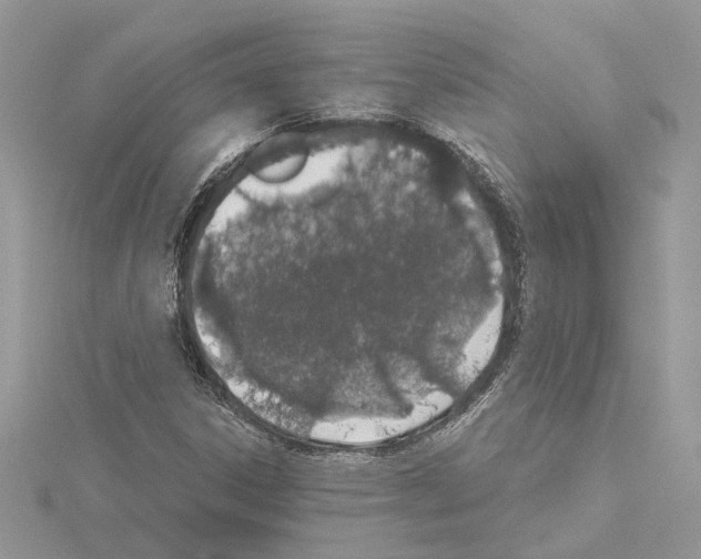 X0000114491306200911301057