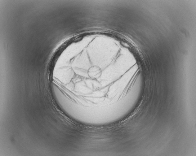 X0000114491310200911301057