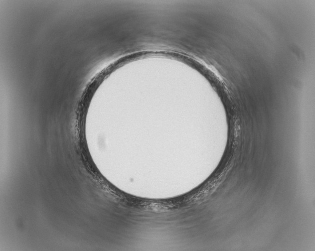 X0000114491311200911301057