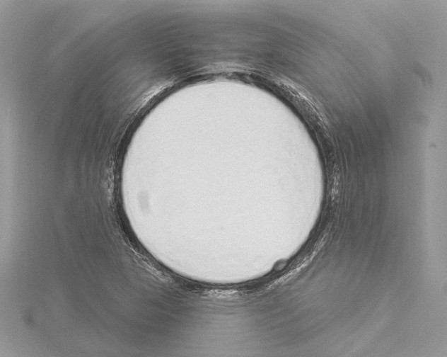 X0000114491313200911301057