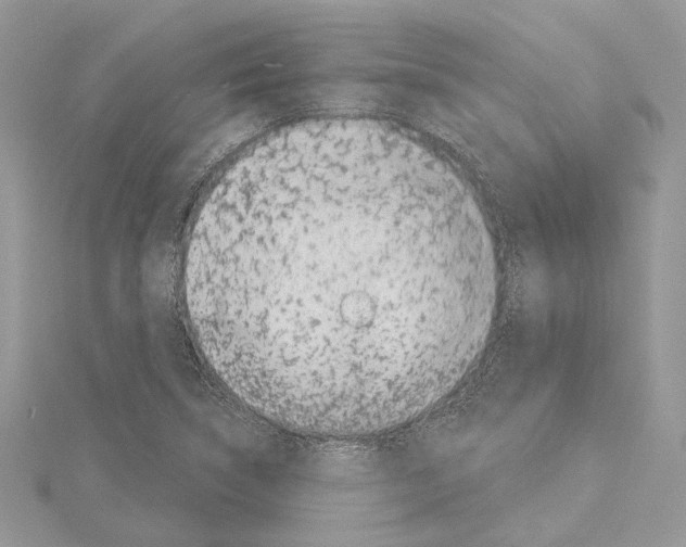 X0000114491314200911301057