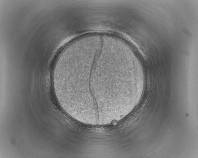 X0000114491315200911301057