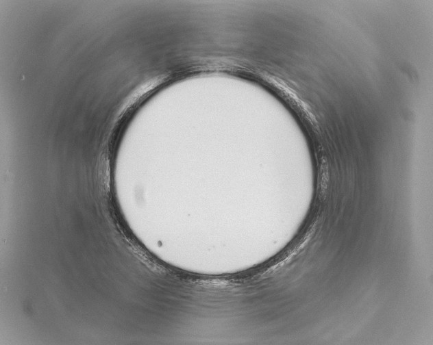 X0000114491317200911301057