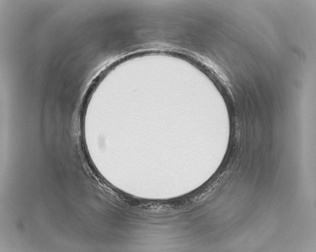 X0000114491318200911301057