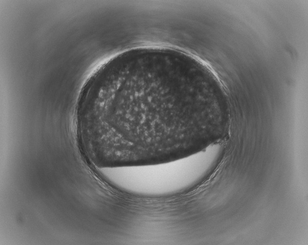 X0000114491319200911301057