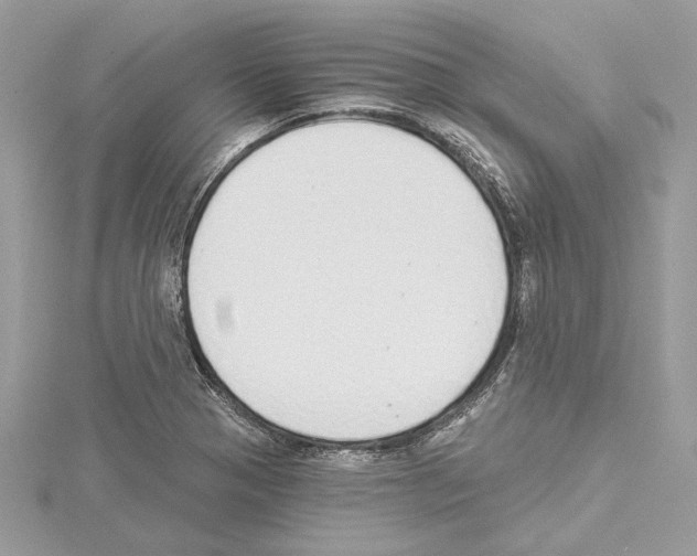 X0000114491321200911301057