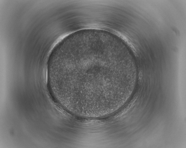 X0000114491323200911301057