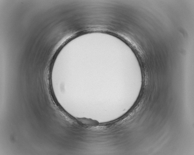 X0000114491325200911301058