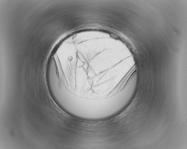 X0000114491326200911301058