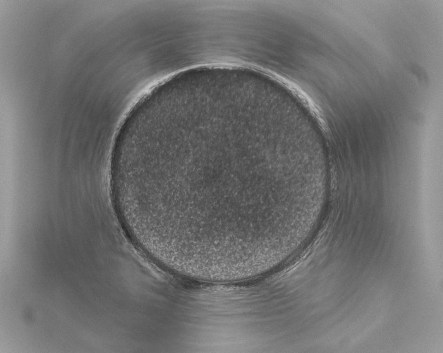 X0000114491327200911301058