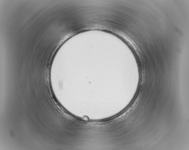 X0000114491329200911301058