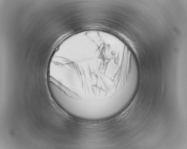 X0000114491330200911301058