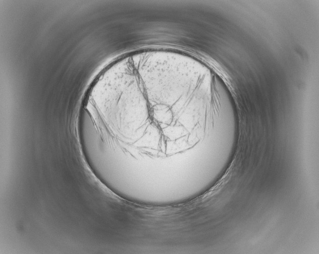 X0000114491334200911301058