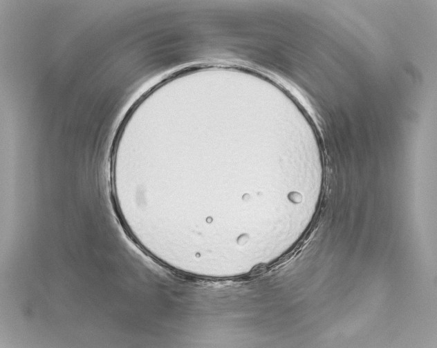 X0000114491335200911301058