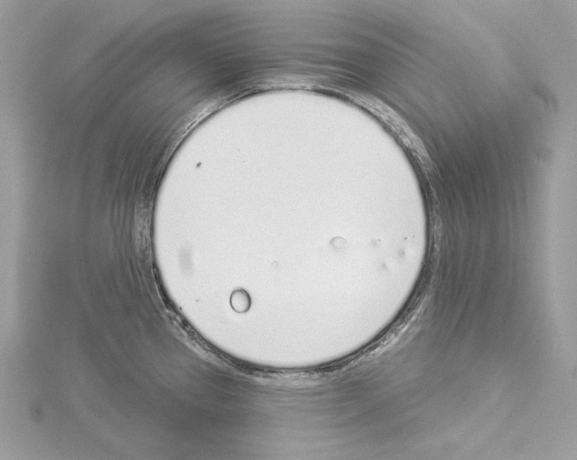 X0000114491337200911301058