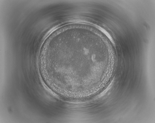 X0000114491338200911301058