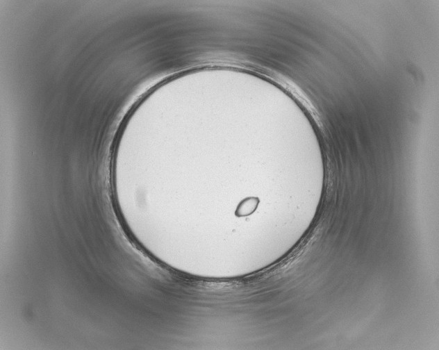 X0000114491339200911301058