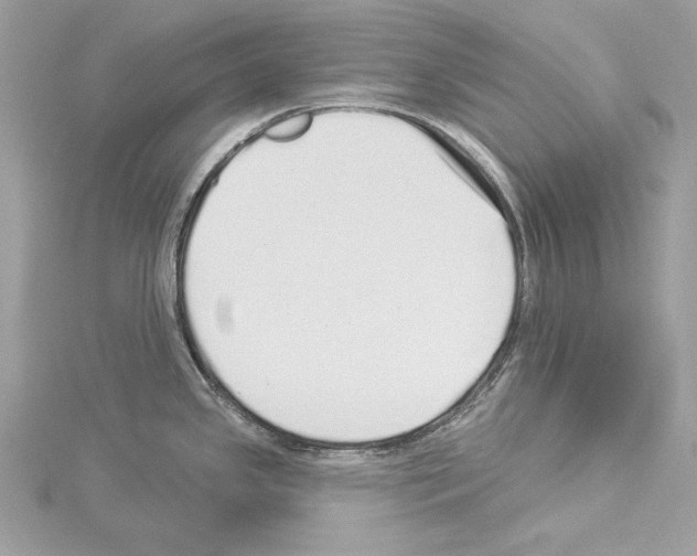 X0000114491341200911301058