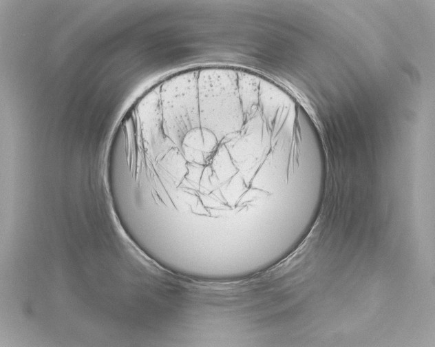 X0000114491342200911301058