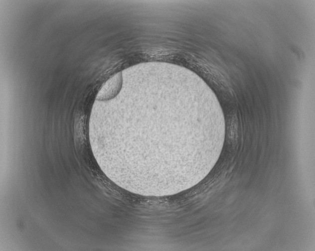 X0000114491346200911301057