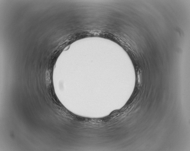 X0000114491347200911301057