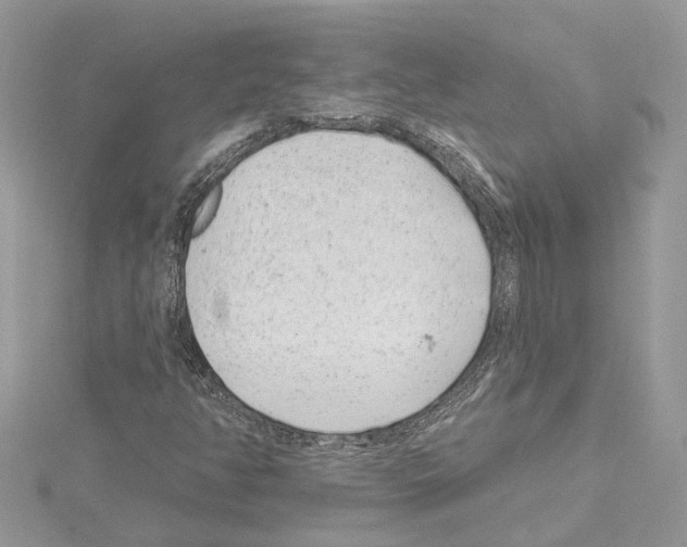 X0000114491350200911301057