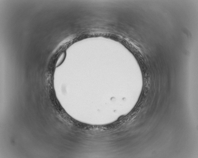 X0000114491351200911301057