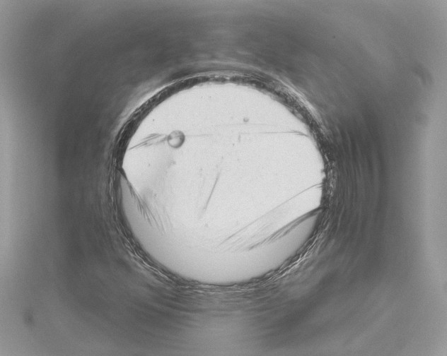 X0000114491352200911301057