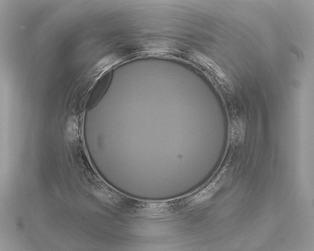 X0000114491353200911301057