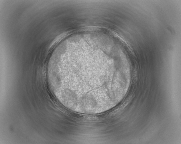 X0000114491354200911301057