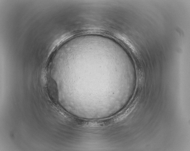 X0000114491357200911301057