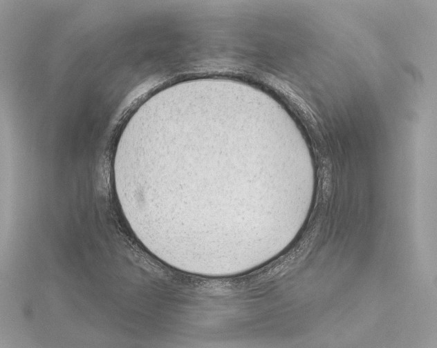 X0000114491358200911301057