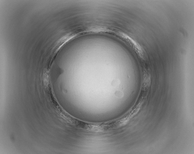 X0000114491361200911301057