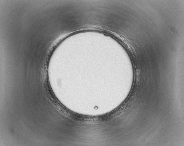 X0000114491363200911301057