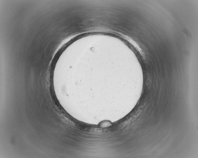 X0000114491364200911301057