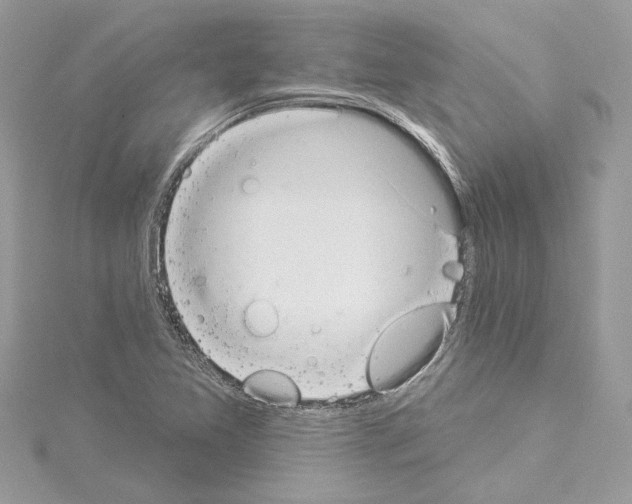 X0000114491365200911301057