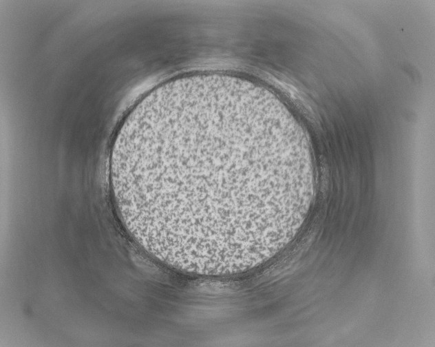 X0000114491366200911301057