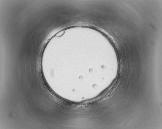 X0000114491367200911301057