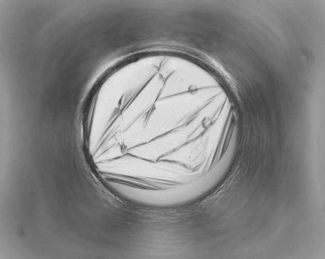 X0000114491368200911301057