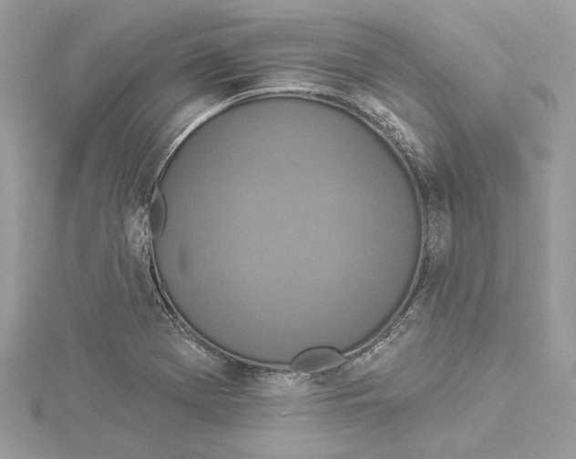 X0000114491369200911301057