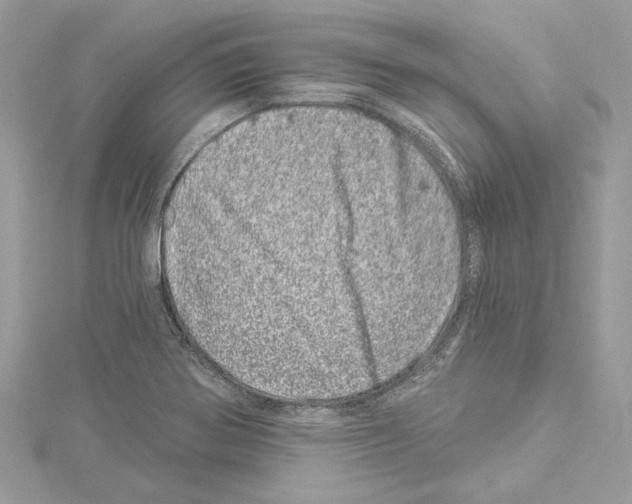 X0000114491370200911301057