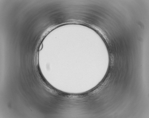 X0000114491371200911301057