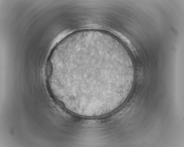 X0000114491373200911301057