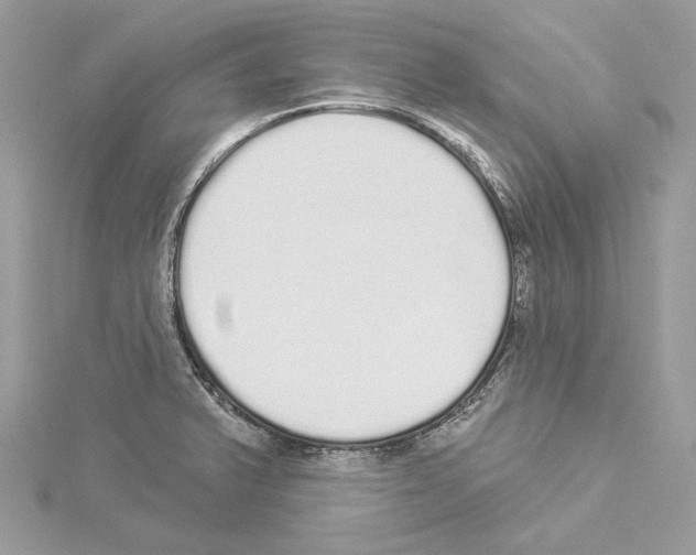 X0000114491375200911301057