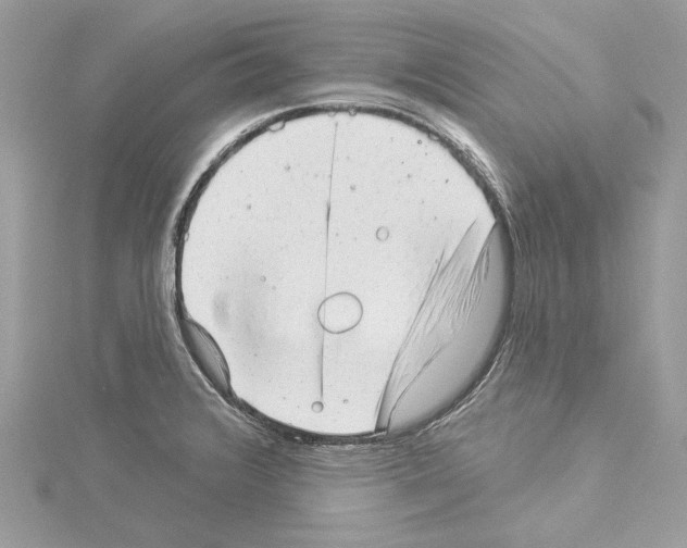 X0000114491376200911301057