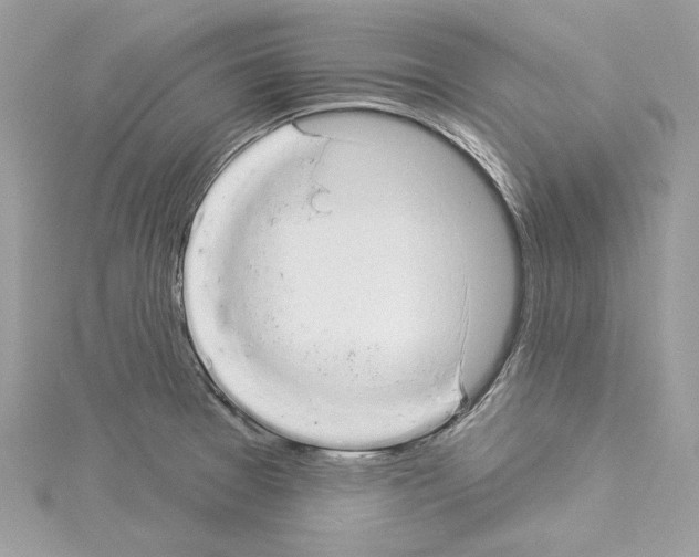 X0000114491377200911301057