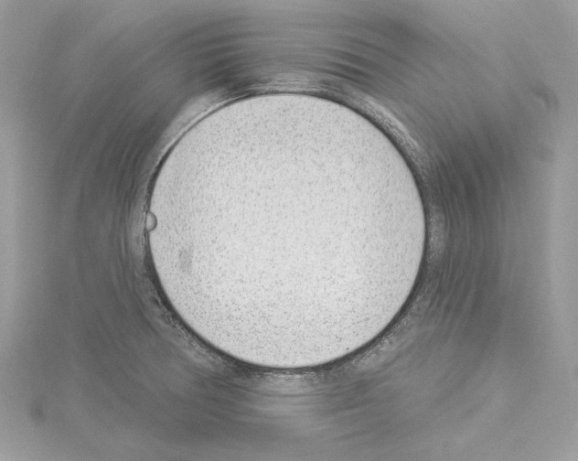 X0000114491378200911301057