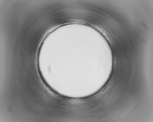 X0000114491379200911301057