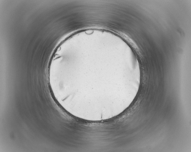 X0000114491380200911301057