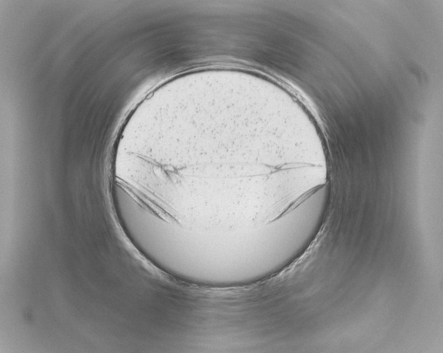 X0000114491381200911301057